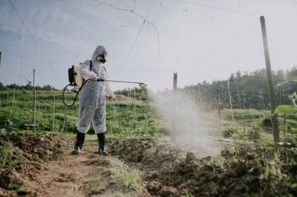 Best Pest Prevention Services  in Sullivan, IL