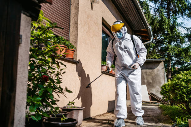 Best Insect Control  in Sullivan, IL
