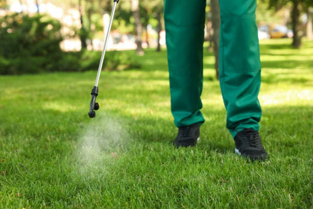 Best Exterminator Services  in Sullivan, IL
