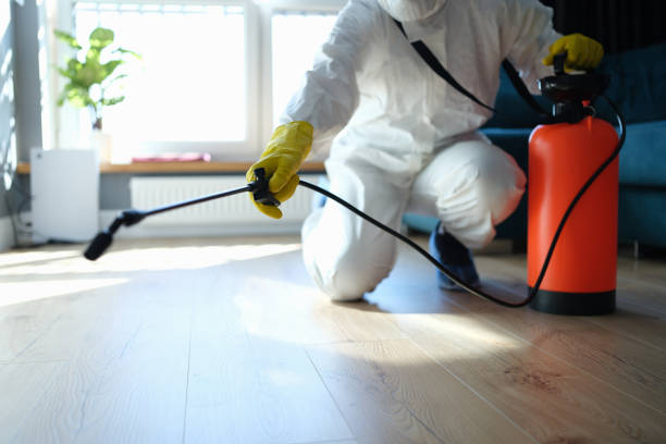 Best Wasp Removal Services  in Sullivan, IL