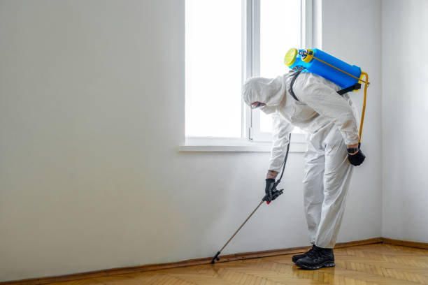 Flea Control Services in Sullivan, IL