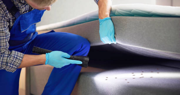 Reliable Sullivan, IL Pest Control Solutions
