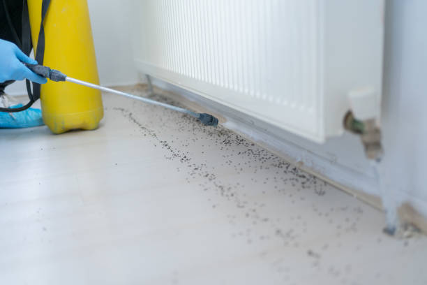 Best Wildlife Control Services  in Sullivan, IL