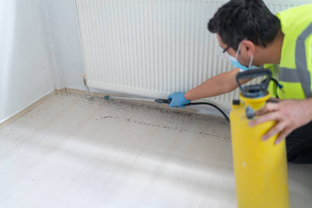 Best Pest Control Near Me  in Sullivan, IL